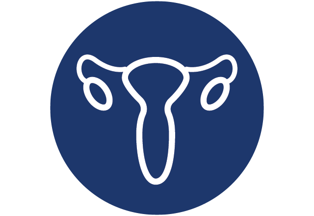 Female anatomy icon