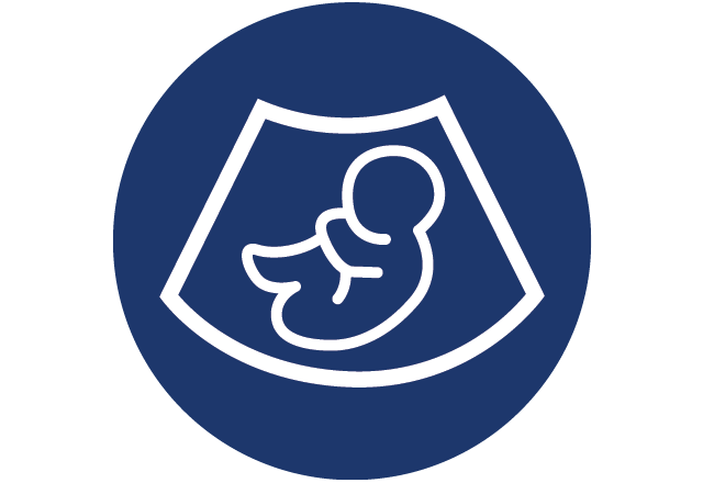 baby in utero icon