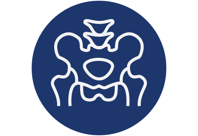 Icon of pelvic bone
